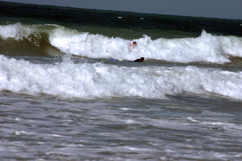 IMG_2739.jpg