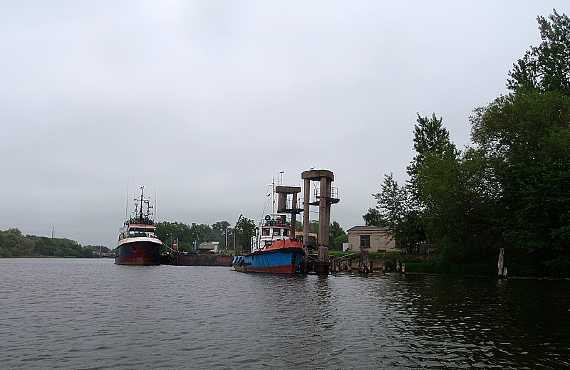 P6110379.JPG