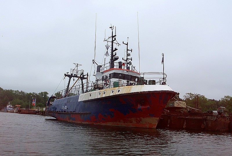 P6110380.JPG