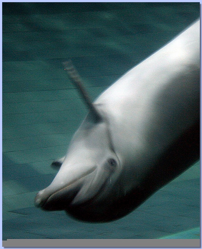 IMG_9802.jpg