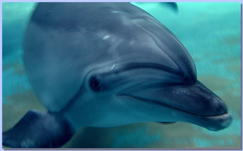 IMG_9872.jpg
